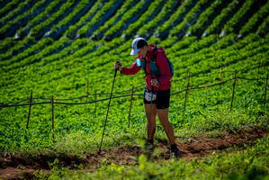 BIB: 
                            <button type="button" onclick="openModal(19161255)" class="btn btn-primary btn-sm float-right btn-popup" data-toggle="modal" data-target=".modal-high-quality">
                        <i class="fas fa-shopping-cart"></i> Add to Cart
                    </button>
                                            <button type="button" onclick="isThisMe(19161255, true)" class="btn btn-success btn-sm float-right btn-popup btn-isme hidden" data-toggle="tooltip" data-placement="bottom" title="นี่คือรูปของคุณใช่ไหม คลิกที่นี่เพื่อเอาเข้าอัลบั้ม">
                        <i class="fas fa-plus"></i> Add to album
                    </button>
                    <button type="button" onclick="isThisMe(19161255, false)" class="btn btn-warning btn-sm float-right btn-popup btn-isnotme hidden">
                        <i class="fas fa-ban"></i> Remove from album
                    </button>